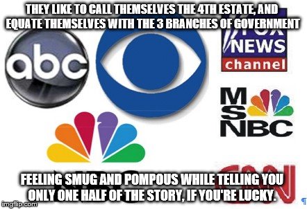 Bacterial pond scum | THEY LIKE TO CALL THEMSELVES THE 4TH ESTATE, AND EQUATE THEMSELVES WITH THE 3 BRANCHES OF GOVERNMENT; FEELING SMUG AND POMPOUS WHILE TELLING YOU ONLY ONE HALF OF THE STORY, IF YOU'RE LUCKY. | image tagged in fake news | made w/ Imgflip meme maker