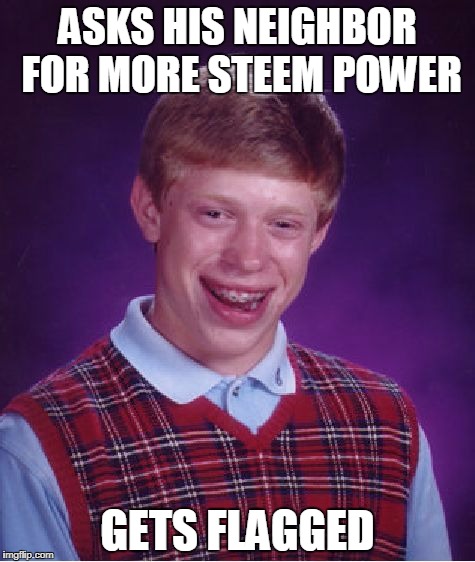 Bad Luck Brian Meme | ASKS HIS NEIGHBOR FOR MORE STEEM POWER; GETS FLAGGED | image tagged in memes,bad luck brian | made w/ Imgflip meme maker