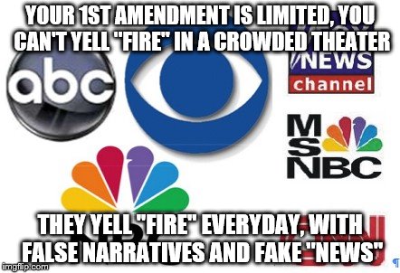 Bacterial pond scum | YOUR 1ST AMENDMENT IS LIMITED, YOU CAN'T YELL "FIRE" IN A CROWDED THEATER; THEY YELL "FIRE" EVERYDAY, WITH FALSE NARRATIVES AND FAKE "NEWS" | image tagged in fake news | made w/ Imgflip meme maker