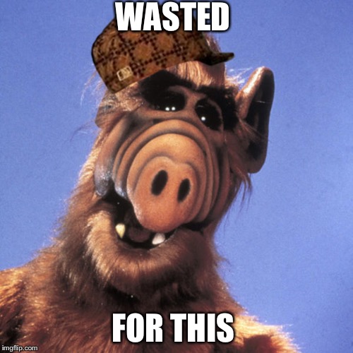 Wasted  | WASTED; FOR THIS | image tagged in alf,scumbag,wasted,of this,ancient aliens | made w/ Imgflip meme maker