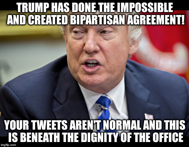Finally something both parties can agree on! | TRUMP HAS DONE THE IMPOSSIBLE AND CREATED BIPARTISAN AGREEMENT! YOUR TWEETS AREN'T NORMAL AND THIS IS BENEATH THE DIGNITY OF THE OFFICE | image tagged in trump,humor,mika brzezinski,tweets,lindsey graham,ben sasse | made w/ Imgflip meme maker