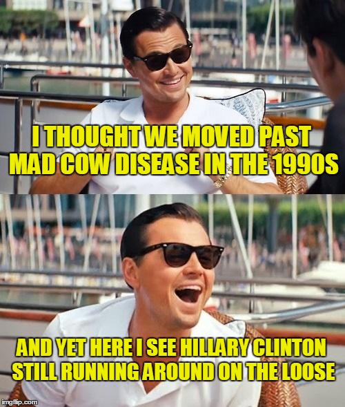 Time for her to be put out to pasture (⊙ₒ⊙) | I THOUGHT WE MOVED PAST MAD COW DISEASE IN THE 1990S; AND YET HERE I SEE HILLARY CLINTON STILL RUNNING AROUND ON THE LOOSE | image tagged in memes,leonardo dicaprio wolf of wall street,political meme,mad cow,insults,hillary clinton | made w/ Imgflip meme maker