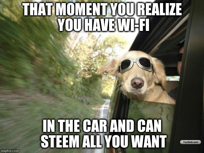 THAT MOMENT YOU REALIZE YOU HAVE WI-FI; IN THE CAR AND CAN STEEM ALL YOU WANT | made w/ Imgflip meme maker