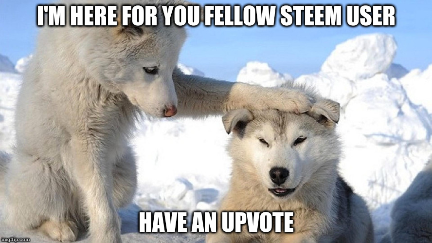 I'M HERE FOR YOU FELLOW STEEM USER; HAVE AN UPVOTE | made w/ Imgflip meme maker