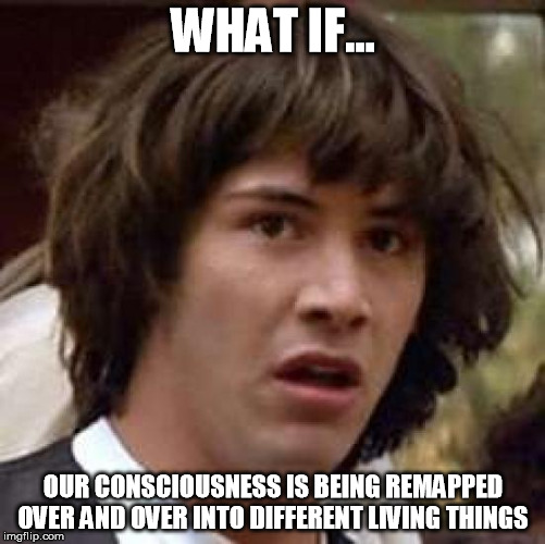 Hmm... | WHAT IF... OUR CONSCIOUSNESS IS BEING REMAPPED OVER AND OVER INTO DIFFERENT LIVING THINGS | image tagged in memes,conspiracy keanu | made w/ Imgflip meme maker