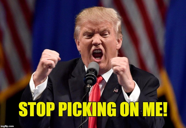 No one ever criticized any other President! |  STOP PICKING ON ME! | image tagged in angry donald,memes,thin skin | made w/ Imgflip meme maker