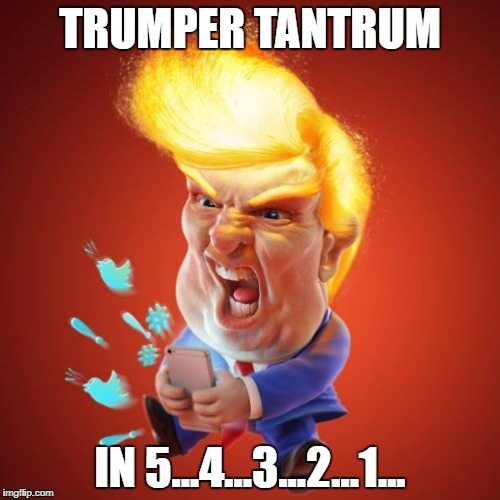 Trumper Tantrum | TRUMPER TANTRUM; IN 5...4...3...2...1... | image tagged in fucktrump,trump twitter | made w/ Imgflip meme maker