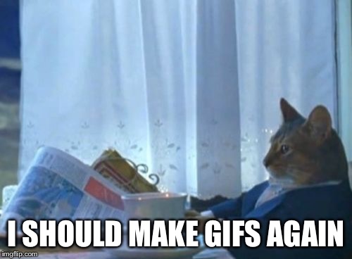 I Should Buy A Boat Cat Meme | I SHOULD MAKE GIFS AGAIN | image tagged in memes,i should buy a boat cat | made w/ Imgflip meme maker