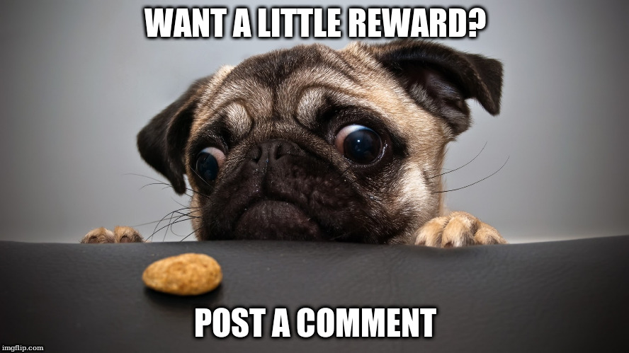 WANT A LITTLE REWARD? POST A COMMENT | made w/ Imgflip meme maker