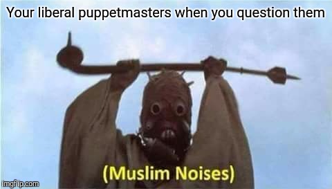 Your liberal puppetmasters when you question them | made w/ Imgflip meme maker