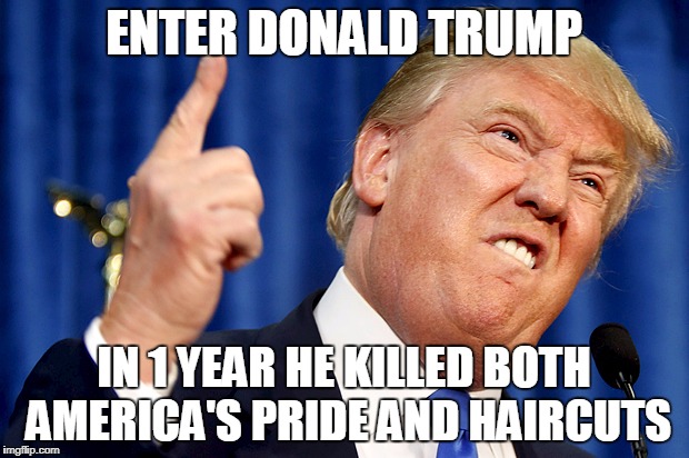 If you have anything else Trump ruined, post a comment with #TrumpRuinedThis | ENTER DONALD TRUMP; IN 1 YEAR HE KILLED BOTH AMERICA'S PRIDE AND HAIRCUTS | image tagged in donald trump,ruining | made w/ Imgflip meme maker