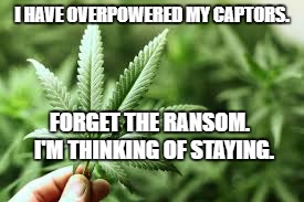 marijuana | I HAVE OVERPOWERED MY CAPTORS. FORGET THE RANSOM.  I'M THINKING OF STAYING. | image tagged in marijuana | made w/ Imgflip meme maker