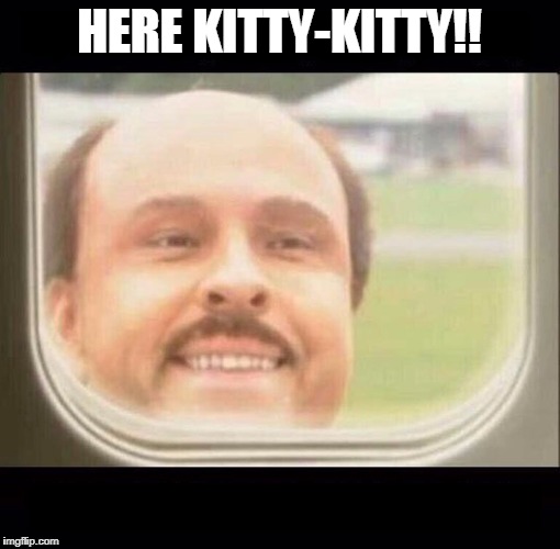 Airplane Window Looking In | HERE KITTY-KITTY!! | image tagged in airplane window looking in | made w/ Imgflip meme maker