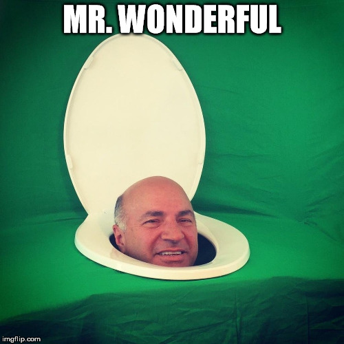 Kevin O'Leary Toilet | MR. WONDERFUL | image tagged in kevin o'leary toilet | made w/ Imgflip meme maker