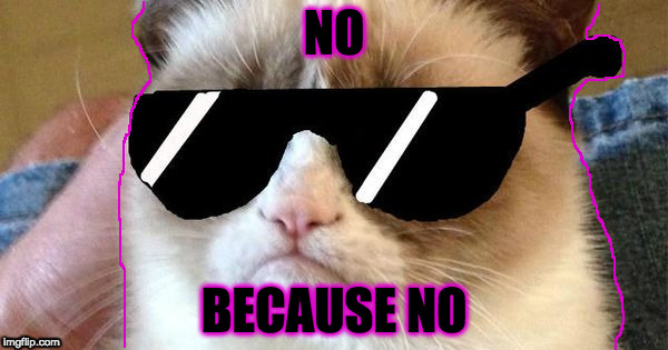 Grumy Cat Deal With It | NO; BECAUSE NO | image tagged in grumy cat deal with it | made w/ Imgflip meme maker