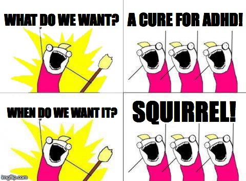What Do We Want Meme | WHAT DO WE WANT? A CURE FOR ADHD! SQUIRREL! WHEN DO WE WANT IT? | image tagged in memes,what do we want | made w/ Imgflip meme maker