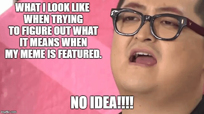 WHAT I LOOK LIKE WHEN TRYING TO FIGURE OUT WHAT IT MEANS WHEN MY MEME IS FEATURED. NO IDEA!!!! | image tagged in confused | made w/ Imgflip meme maker