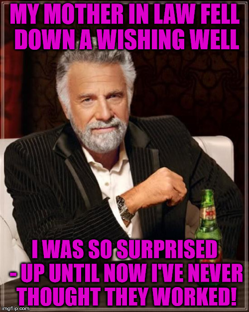 And I didn't even put a coin in it! | MY MOTHER IN LAW FELL DOWN A WISHING WELL; I WAS SO SURPRISED - UP UNTIL NOW I'VE NEVER THOUGHT THEY WORKED! | image tagged in memes,the most interesting man in the world,mother in law | made w/ Imgflip meme maker