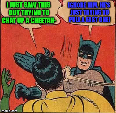 I don't think I want to know if this particular relationship goes any further . . . | I JUST SAW THIS GUY TRYING TO CHAT UP A CHEETAH-; IGNORE HIM, HE'S JUST TRYING TO PULL A FAST ONE! | image tagged in memes,batman slapping robin,cheetah | made w/ Imgflip meme maker