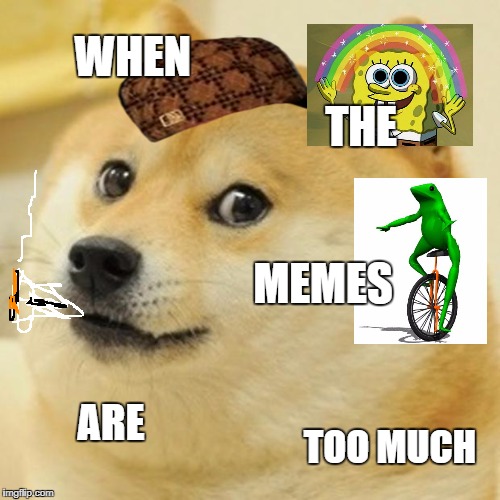 Doge Meme | WHEN; THE; MEMES; ARE; TOO MUCH | image tagged in memes,doge,scumbag | made w/ Imgflip meme maker