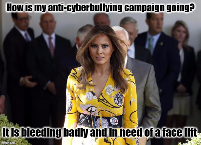 FLOTUS - Anti-Cyberbullying Champion | How is my anti-cyberbullying campaign going? It is bleeding badly and in need of a face lift | image tagged in donald trump,melania trump,resist,cyberbullying,trump tweet,morning joe | made w/ Imgflip meme maker