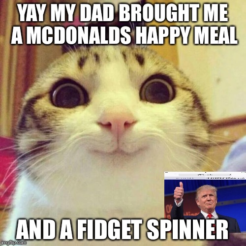 Smiling Cat Meme | YAY MY DAD BROUGHT ME A MCDONALDS HAPPY MEAL; AND A FIDGET SPINNER | image tagged in memes,smiling cat | made w/ Imgflip meme maker
