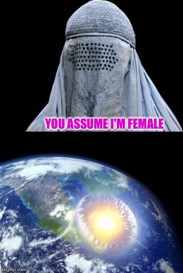 Femerrorism  | YOU ASSUME I'M FEMALE | image tagged in memes | made w/ Imgflip meme maker