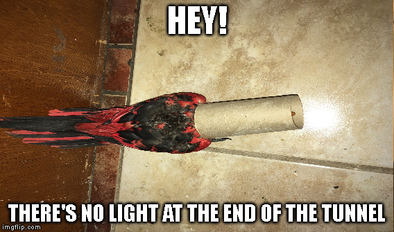 Dems where's the light at the end of the tunnel | HEY! THERE'S NO LIGHT AT THE END OF THE TUNNEL | image tagged in politics | made w/ Imgflip meme maker