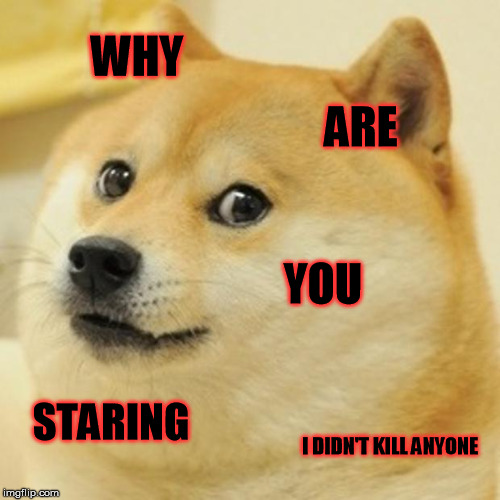 Doge | WHY; ARE; YOU; STARING; I DIDN'T KILL ANYONE | image tagged in memes,doge | made w/ Imgflip meme maker