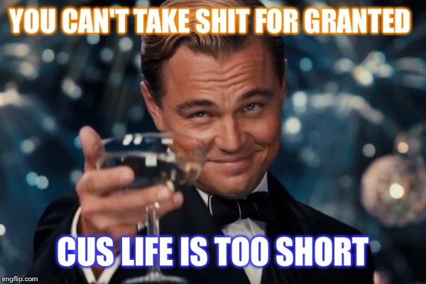 Leonardo Dicaprio Cheers Meme | YOU CAN'T TAKE SHIT FOR GRANTED; CUS LIFE IS TOO SHORT | image tagged in memes,leonardo dicaprio cheers | made w/ Imgflip meme maker