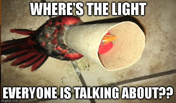 Dems Where's the light | WHERE'S THE LIGHT; EVERYONE IS TALKING ABOUT?? | image tagged in politics | made w/ Imgflip meme maker