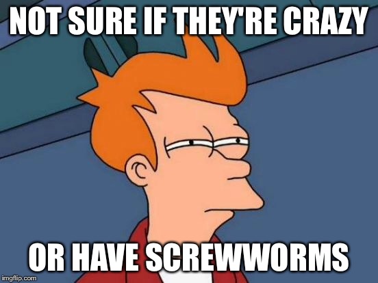 Futurama Fry Meme | NOT SURE IF THEY'RE CRAZY OR HAVE SCREWWORMS | image tagged in memes,futurama fry | made w/ Imgflip meme maker