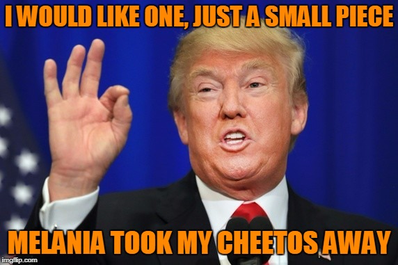 I WOULD LIKE ONE, JUST A SMALL PIECE MELANIA TOOK MY CHEETOS AWAY | made w/ Imgflip meme maker