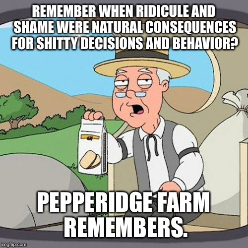 Pepperidge Farm Remembers Meme | REMEMBER WHEN RIDICULE AND SHAME WERE NATURAL CONSEQUENCES FOR SHITTY DECISIONS AND BEHAVIOR? PEPPERIDGE FARM REMEMBERS. | image tagged in memes,pepperidge farm remembers | made w/ Imgflip meme maker