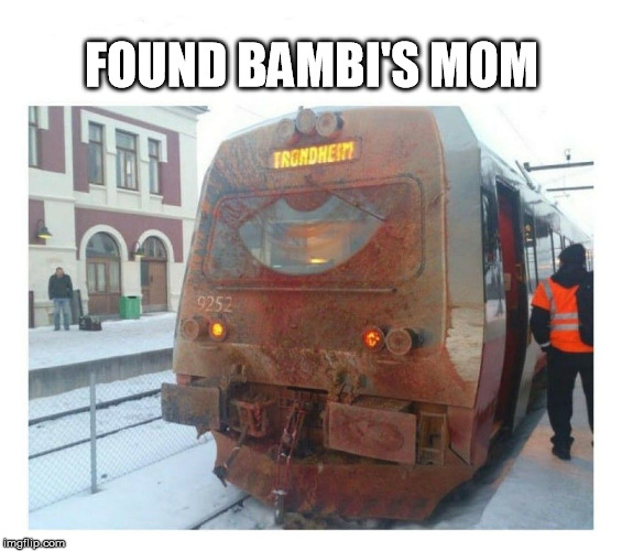 FOUND BAMBI'S MOM | image tagged in bambis mom | made w/ Imgflip meme maker