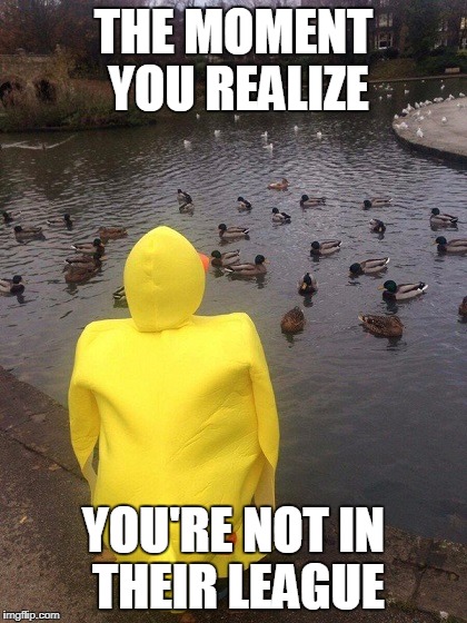 When you come to the realization why your different from the others | THE MOMENT YOU REALIZE; YOU'RE NOT IN THEIR LEAGUE | image tagged in funny,duck,ducks,actual advice mallard | made w/ Imgflip meme maker