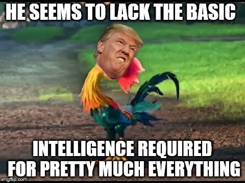 HE SEEMS TO LACK THE BASIC; INTELLIGENCE REQUIRED FOR PRETTY MUCH EVERYTHING | image tagged in heihei eats a rock | made w/ Imgflip meme maker