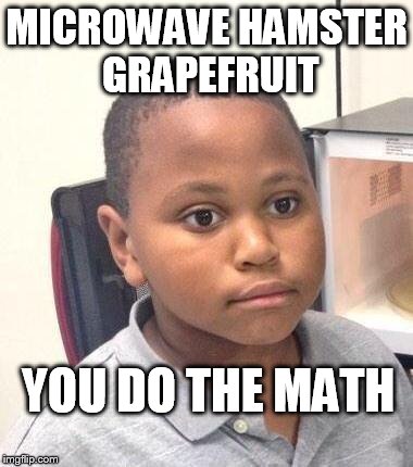 enquiring minds  | MICROWAVE HAMSTER GRAPEFRUIT; YOU DO THE MATH | image tagged in memes,minor mistake marvin | made w/ Imgflip meme maker