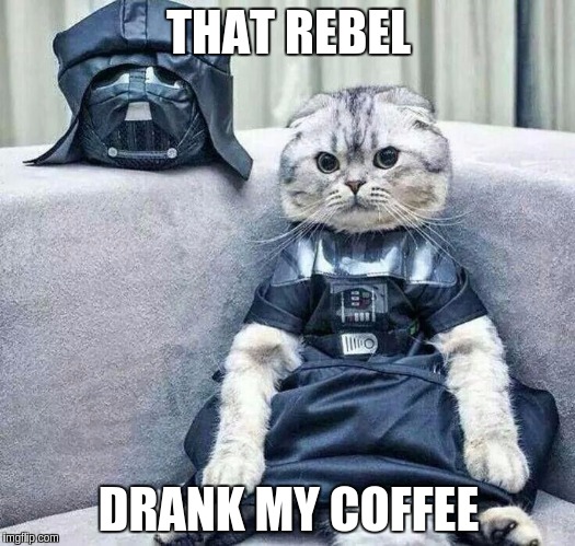 Darth Cat | THAT REBEL DRANK MY COFFEE | image tagged in darth cat | made w/ Imgflip meme maker