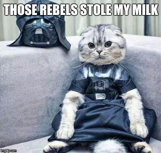 Darth Cat | THOSE REBELS STOLE MY MILK | image tagged in darth cat | made w/ Imgflip meme maker