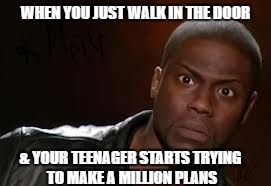 Kevin Hart Meme | WHEN YOU JUST WALK IN THE DOOR; & YOUR TEENAGER STARTS TRYING TO MAKE A MILLION PLANS | image tagged in memes,kevin hart the hell | made w/ Imgflip meme maker