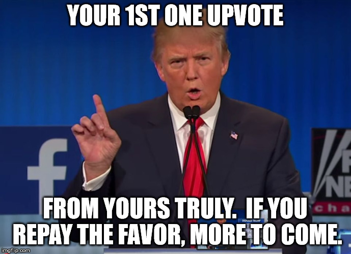 trump | YOUR 1ST ONE UPVOTE FROM YOURS TRULY.  IF YOU REPAY THE FAVOR, MORE TO COME. | image tagged in trump | made w/ Imgflip meme maker