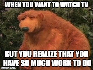 WHEN YOU WANT TO WATCH TV; BUT YOU REALIZE THAT YOU HAVE SO MUCH WORK TO DO | image tagged in frustrated bear,work,tv,television,exhausted,stressed out | made w/ Imgflip meme maker