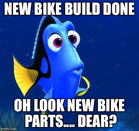 dory | NEW BIKE BUILD DONE; OH LOOK NEW BIKE PARTS.... DEAR? | image tagged in dory | made w/ Imgflip meme maker