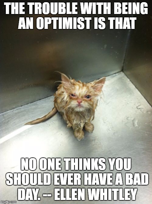 Kill You Cat Meme | THE TROUBLE WITH BEING AN OPTIMIST IS THAT; NO ONE THINKS YOU SHOULD EVER HAVE A BAD DAY. -- ELLEN WHITLEY | image tagged in memes,kill you cat | made w/ Imgflip meme maker
