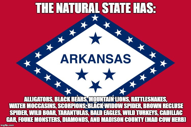 arkansas | THE NATURAL STATE HAS:; ALLIGATORS, BLACK BEARS, MOUNTAIN LIONS, RATTLESNAKES, WATER MOCCASINS, SCORPIONS, BLACK WIDOW SPIDER, BROWN RECLUSE SPIDER, WILD BOAR, TARANTULAS, BALD EAGLES, WILD TURKEYS, CADILLAC GAR, FOUKE MONSTERS, DIAMONDS, AND MADISON COUNTY (MAD COW HERB) | image tagged in weed,herb,arkansas,natural state | made w/ Imgflip meme maker