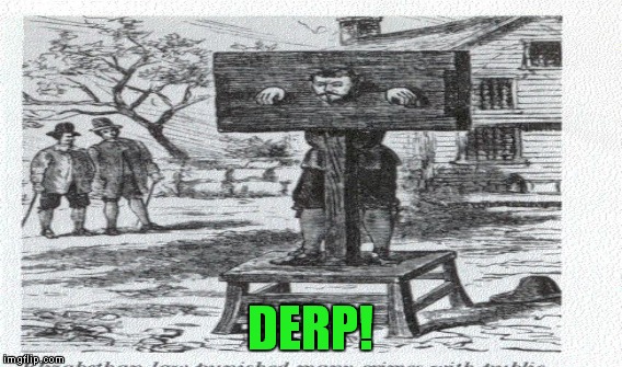 DERP! | made w/ Imgflip meme maker