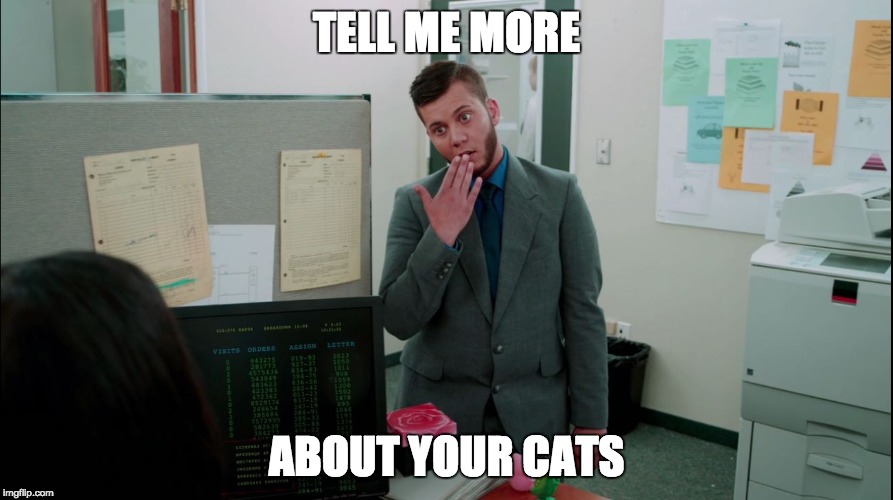 Oh yes tell me more | TELL ME MORE; ABOUT YOUR CATS | image tagged in phil doesn't care,welovetheswitch,cats,office,i don't care | made w/ Imgflip meme maker