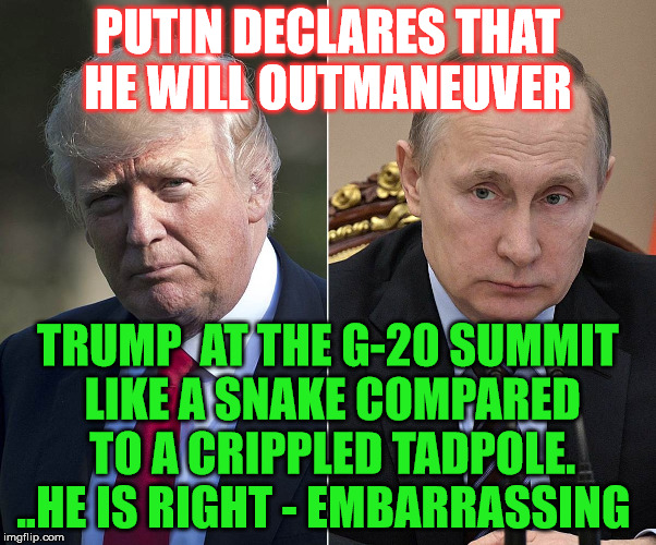 More Election Meddling, please ! | PUTIN DECLARES THAT HE WILL OUTMANEUVER; TRUMP  AT THE G-20 SUMMIT LIKE A SNAKE COMPARED TO A CRIPPLED TADPOLE. ..HE IS RIGHT - EMBARRASSING | image tagged in donald trump,vladimir putin | made w/ Imgflip meme maker