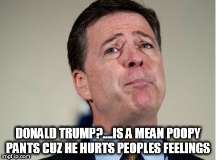 DONALD TRUMP?....IS A MEAN POOPY PANTS CUZ HE HURTS PEOPLES FEELINGS | image tagged in dopey comey | made w/ Imgflip meme maker